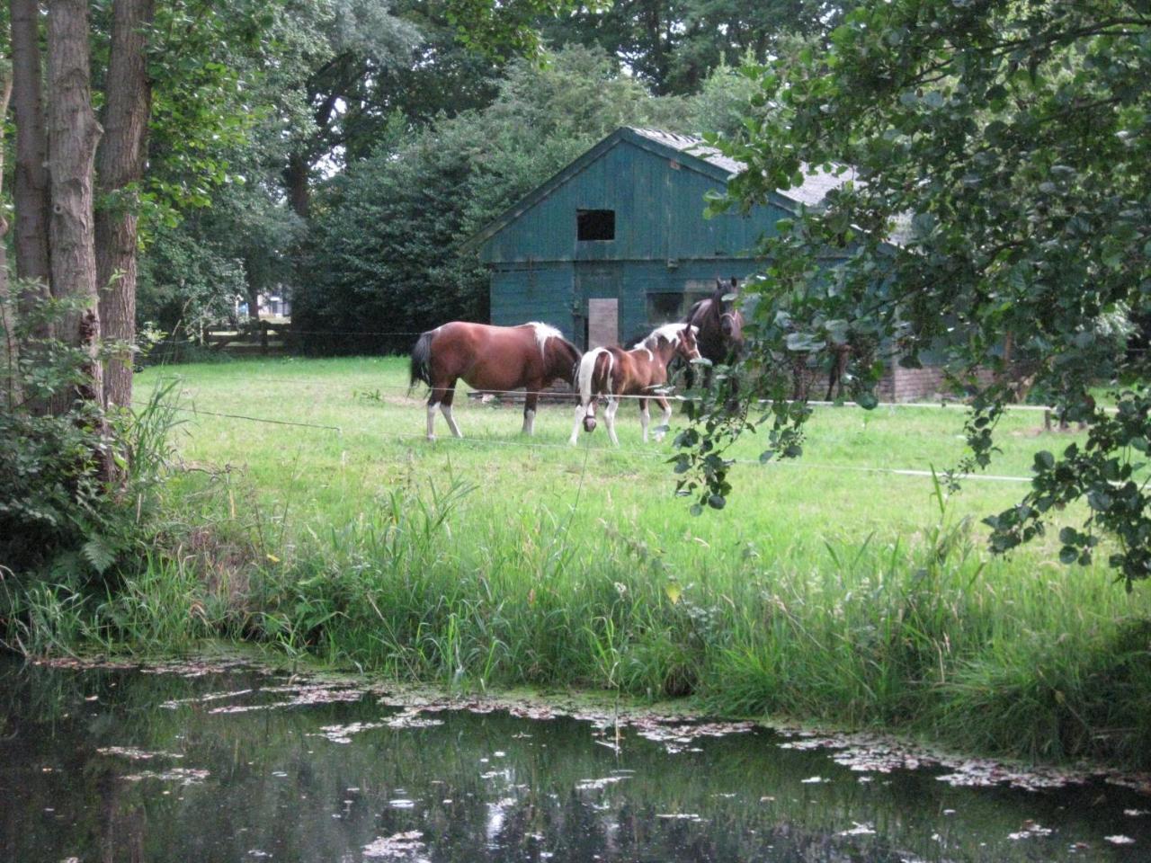 B&B De Rollecate Punthorst Luaran gambar